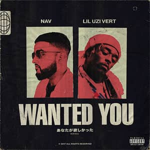 Disco Wanted You de Nav