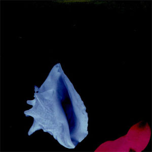 Disco Touched By The Hand Of God de New Order