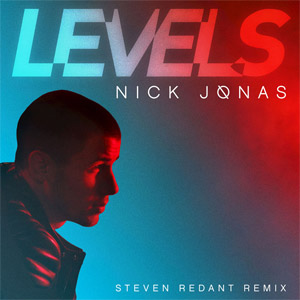 Disco Levels (Steven Redant Remix) de Nick Jonas