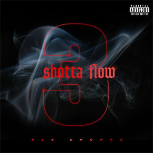 Disco Shotta Flow 3 de NLE Choppa