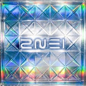 Disco Fire de 2NE1
