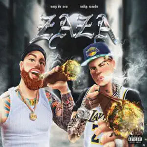 Disco Zaza de Omy de Oro