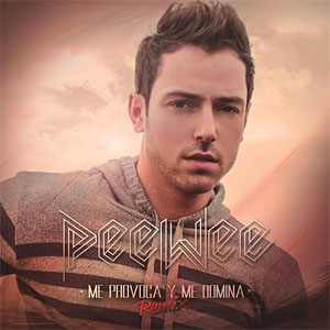 Disco Me Provoca Y Me Domina (Remix) de PeeWee