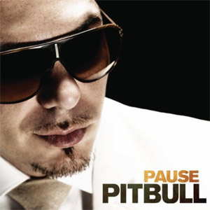 Disco Pause de Pitbull