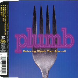 Disco Sobering (Don't Turn Around) de Plumb