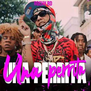 Disco Una Perrita de Rochy RD