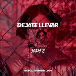 Disco Déjate Llevar de Sebas R
