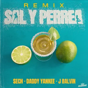 Disco Sal y Perrea (Remix)  de Sech