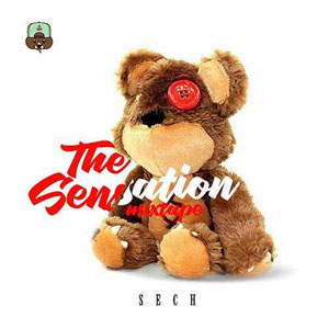Disco The Sensation Mixtape de Sech