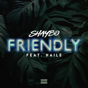 Disco Friendly de Shaybo