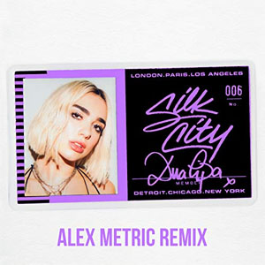 Disco Electricity [Alex Metric Remix] de Silk City