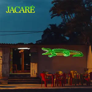 Disco Jacaré de Sofi Tukker
