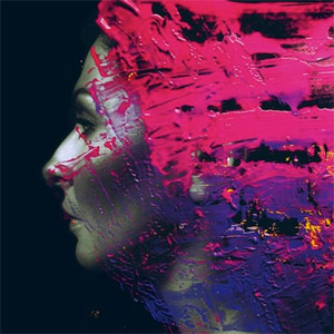 Disco Hand. Cannot. Erase. de Steven Wilson