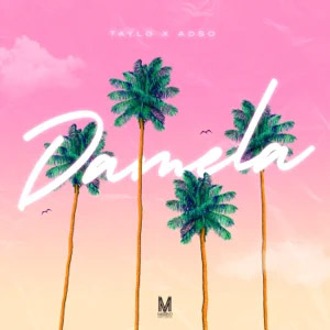 Disco Dámela de Tayl G