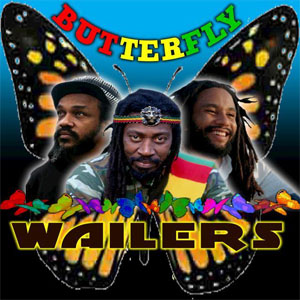 Disco Butterfly de The Wailers