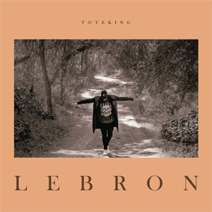 Disco Lebron de ToteKing