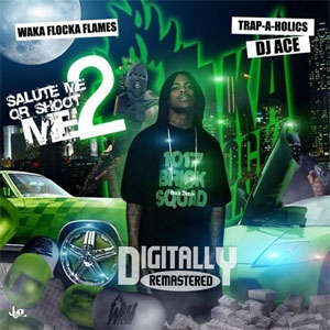 Disco Salute Me Or Shoot Me 2 de Waka Flocka Flame