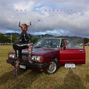 Disco Pop It, Shake It de YG