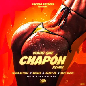 Disco Waoo Que Chapón (Remix) de Young Gatillo