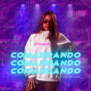 Disco Comandando de Zerimar